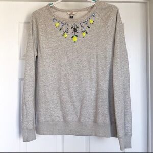Used Canvas by Land’s End Embezzled Sweatshirt